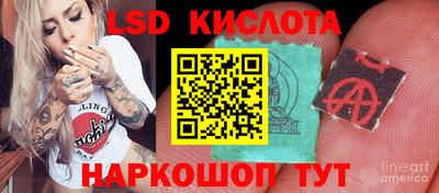 тгк Новодвинск