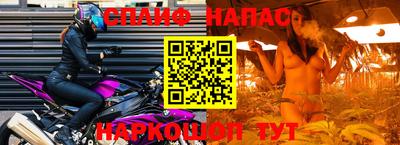 тгк Новодвинск