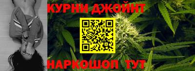 тгк Новодвинск