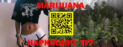 тгк Новодвинск