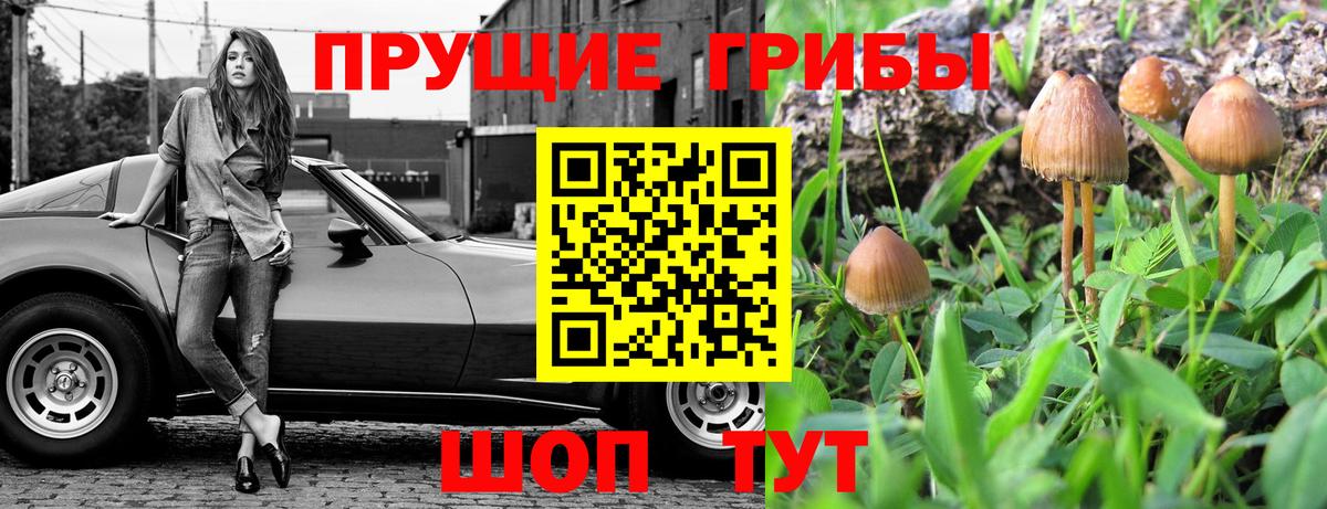 Усть-Илимск  наркота  Вход с VPN  Галлюциногенные грибы Cubensis 
